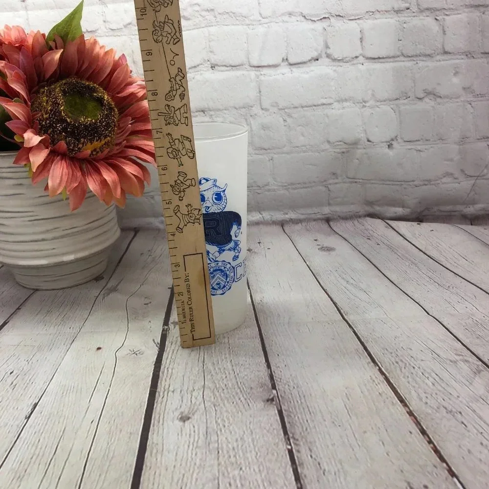 Vintage Rice owls frosted tumbler collegiate